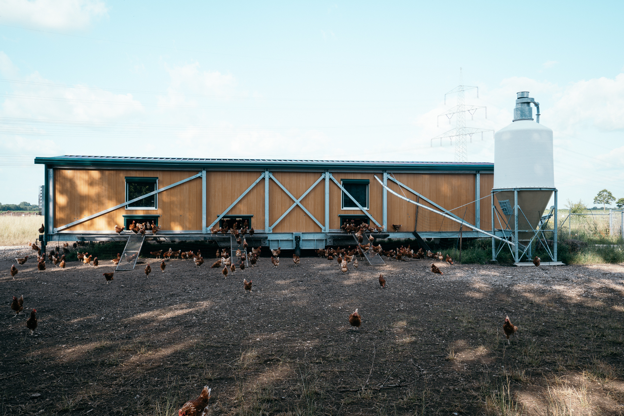 Bild Hühnerstall der freilaufenden Hühner auf Hof Gut Hollern