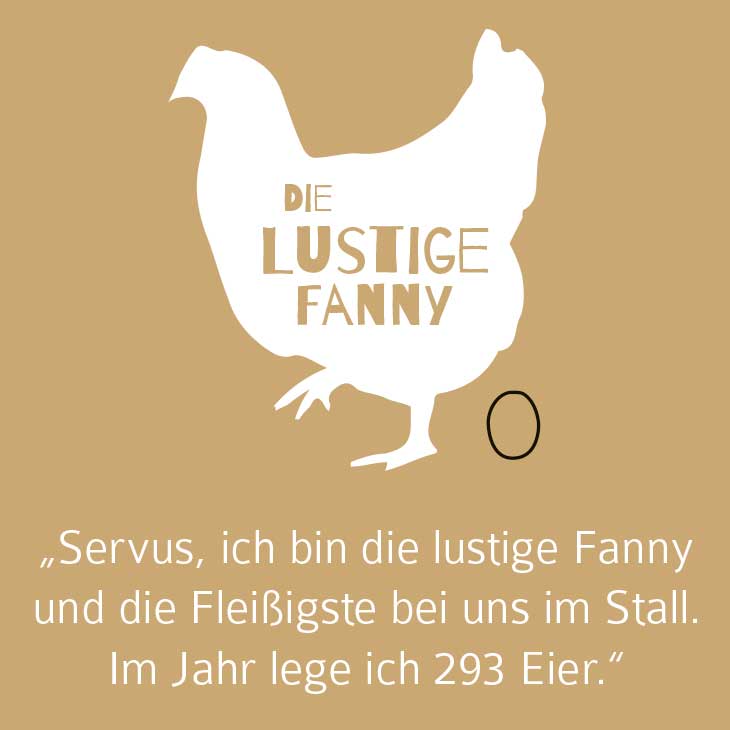Bild von Henne auf Hühnerhof Gut Hollern: die lustige Fanny